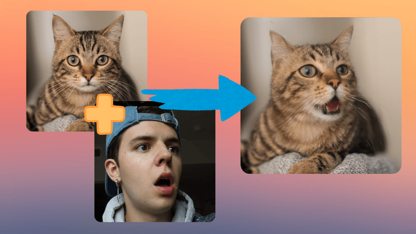 Pet expression example 1