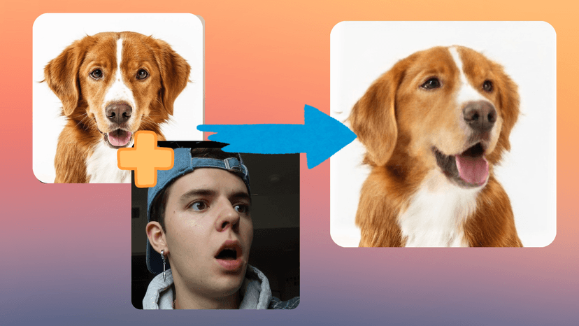 Pet expression example 2