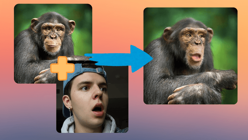 Pet expression example 3