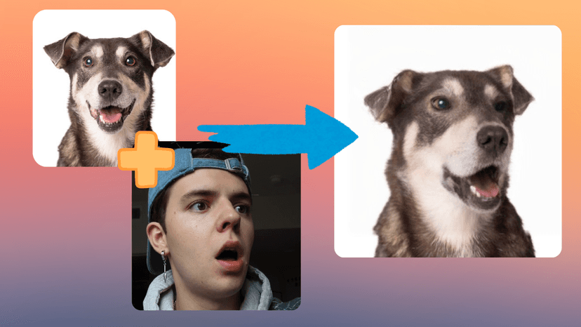 Pet expression example 4