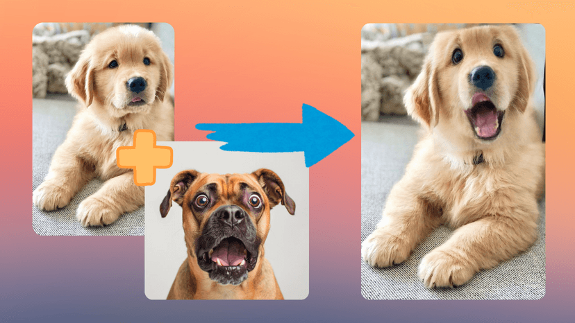 Pet expression example 5
