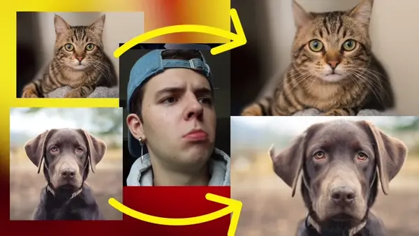 Pet video generation example